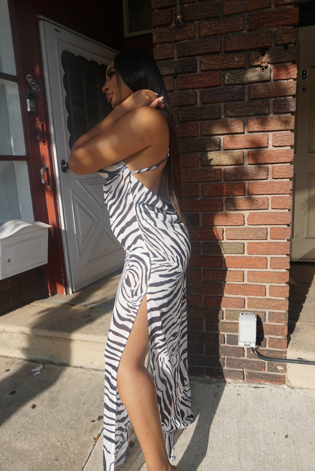 Zebra dress