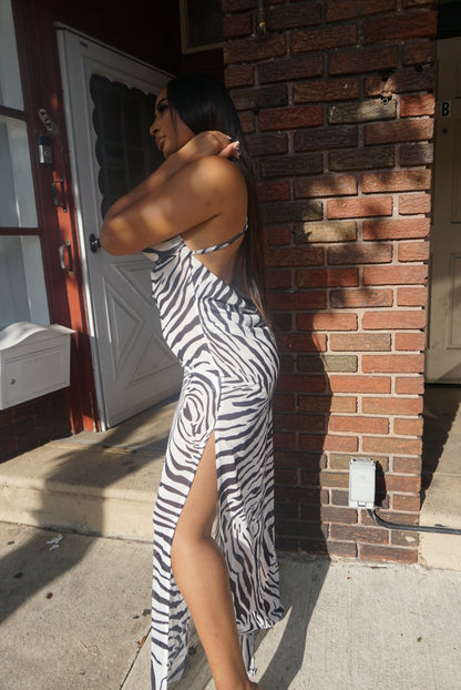 Zebra dress